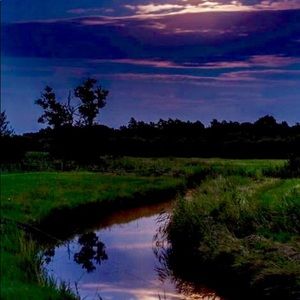 Meet your Posher, Tarenze